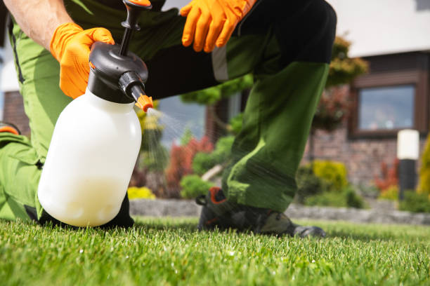 Best Pest Prevention Services  in Thomasboro, IL