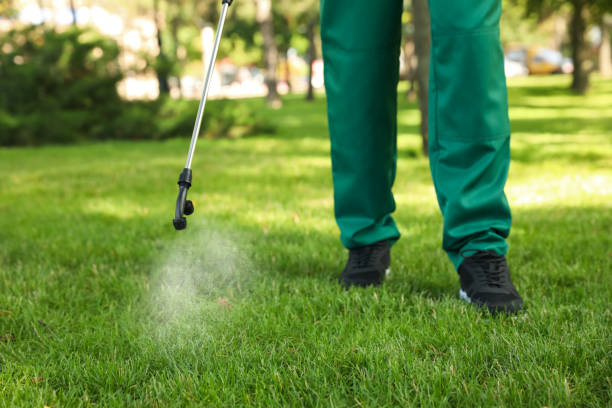 Best Commercial Pest Control Services  in Thomasboro, IL