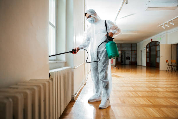 Best Termite Control Services  in Thomasboro, IL