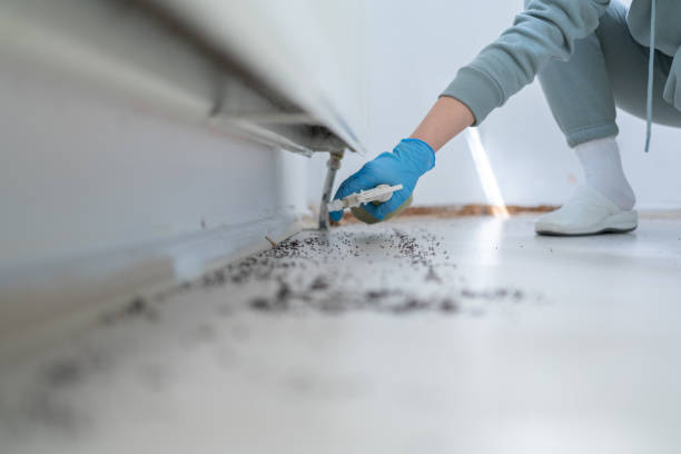 Best Mosquito Control Services  in Thomasboro, IL